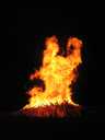 Bonfire