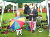 A stall in the park for Environmental Day