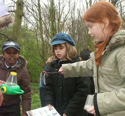Schoolchildren examine wildlife