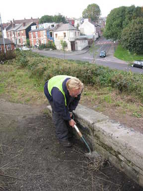 A Green City Action worker