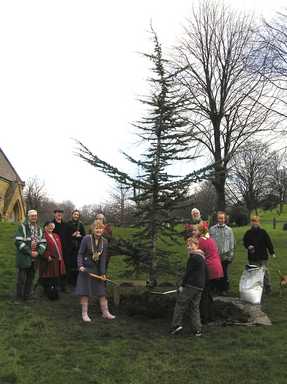 Tinsley Tree project