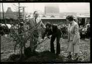 Tree planted on Caborn's Corner, 1983