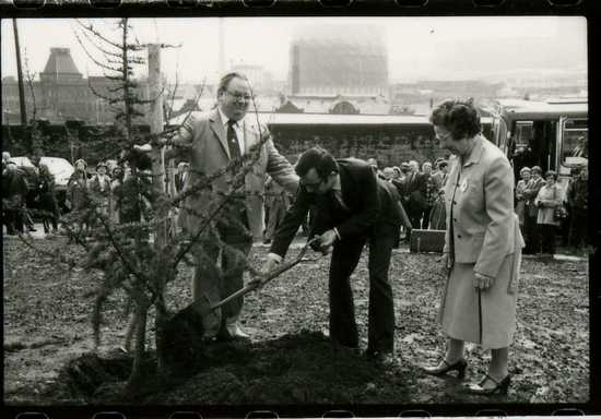 Tree planted on Caborn's Corner, 1983