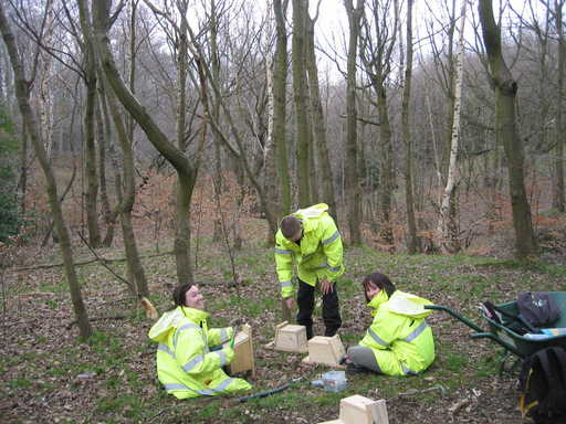 Green City Action at work