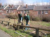 Green City Action Steward and volunteer