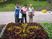 ‘fleur de lys’ flower bed