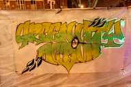 Shaun Tummings' completed Green City Action mural