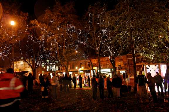 The crowd enjoying the carnival