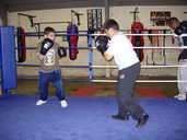 Boxers in the ring