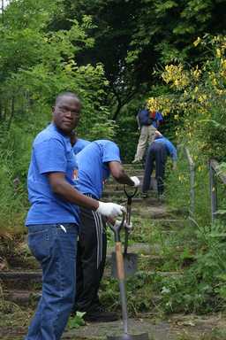 Volunteers in the woods