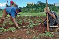 The Power of Community