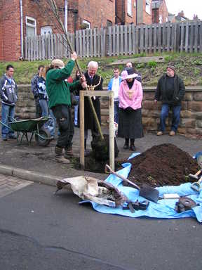 Page Hall tree planting