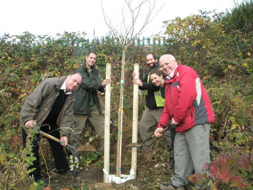 Tree planting