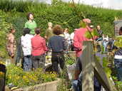 Grimesthorpe Allotment Gardens