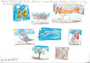 Firshill Wonderland pictures