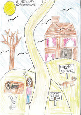 Walking wonderland pictures