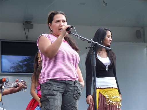 Traditional Roma music