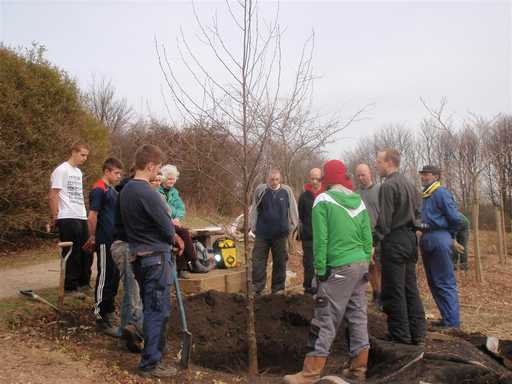 Parkwood Springs forest garden