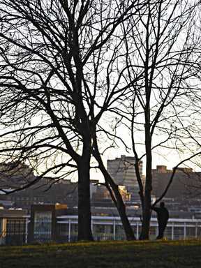 Future of  Development