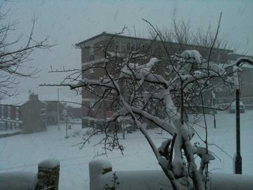 More from Andover street