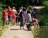 Looking for Crafty Creatures