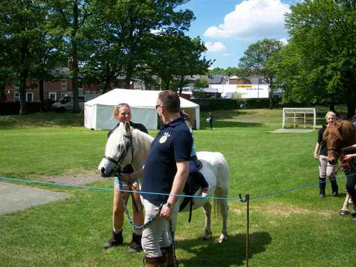 It's a Pony  - you can't see over a horse!