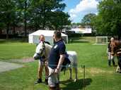 It's a Pony  - you can't see over a horse!