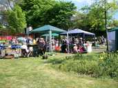 More stalls at Environment Day