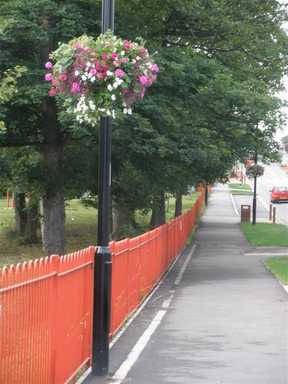 Shirecliffe Hanging Baskets