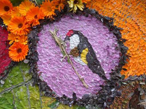 One of our endangered birds