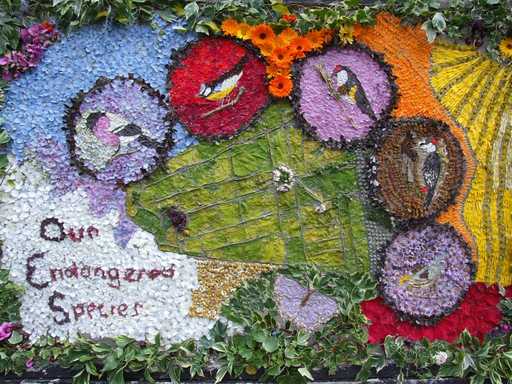 Well Dressing Panel 