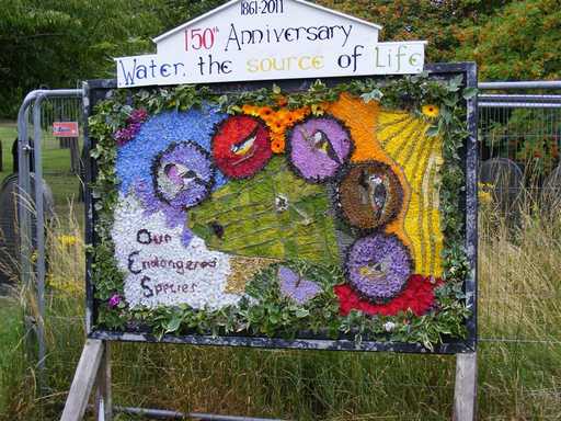Well dressing 2011