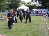 5 Animals Kung Fu Kids