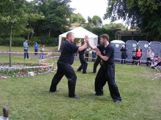 Kung Fu on the grass