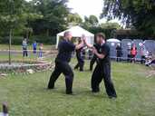 Kung Fu on the grass