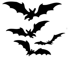 Bats