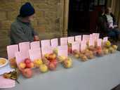 Apples for tasting