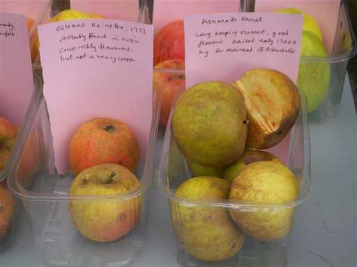 Heritage apples