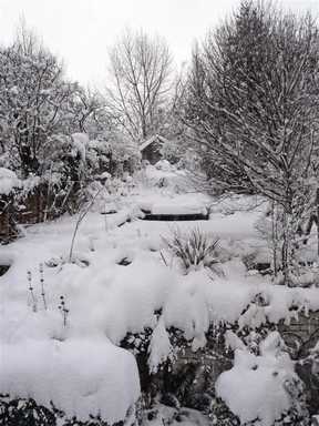 Deep snow at Grimesthorpe allotments