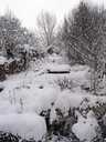 Deep snow at Grimesthorpe allotments