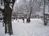 People walking in the snow