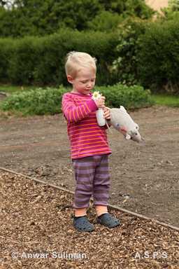 allotment open day young recruit