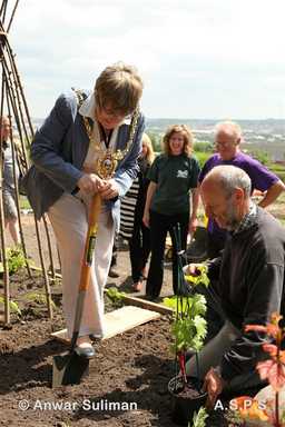 allotments open day digging 