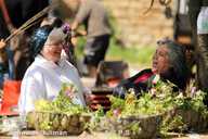 Are the plants that funny?