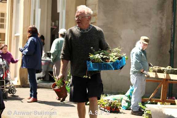 Delivering the plants