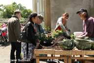 Filling the hanging baskets