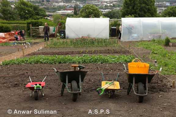 School for Vegetables Launch day