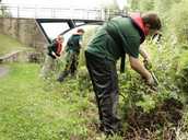 Trainee environmentalists
