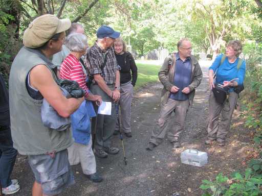 Walkers finding fungi in Burngreave Cemetery