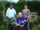 Greenfingers Women Harvest